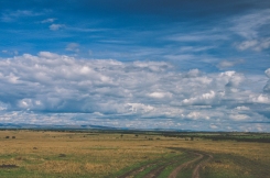 serengeti-north-54