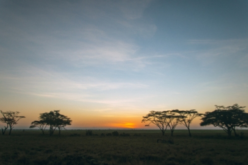 serengeti-south-059