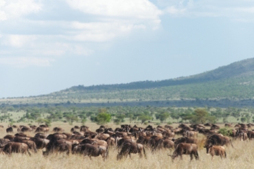 serengeti-south-090