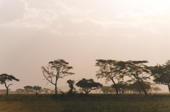 serengeti-south-101